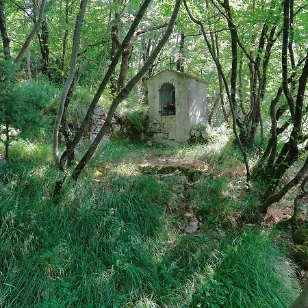Robinson House Lupoglav (Istria)
