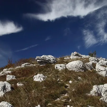 Villa Robinson House Lupoglav (Istria)